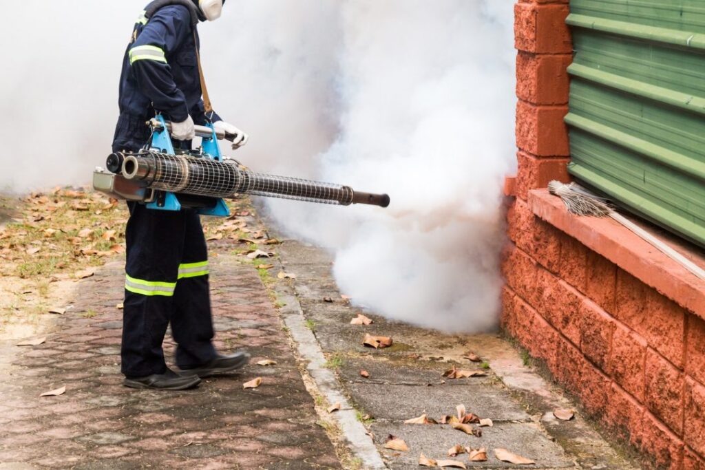 Mosquito Control - Reliable Pest Control
