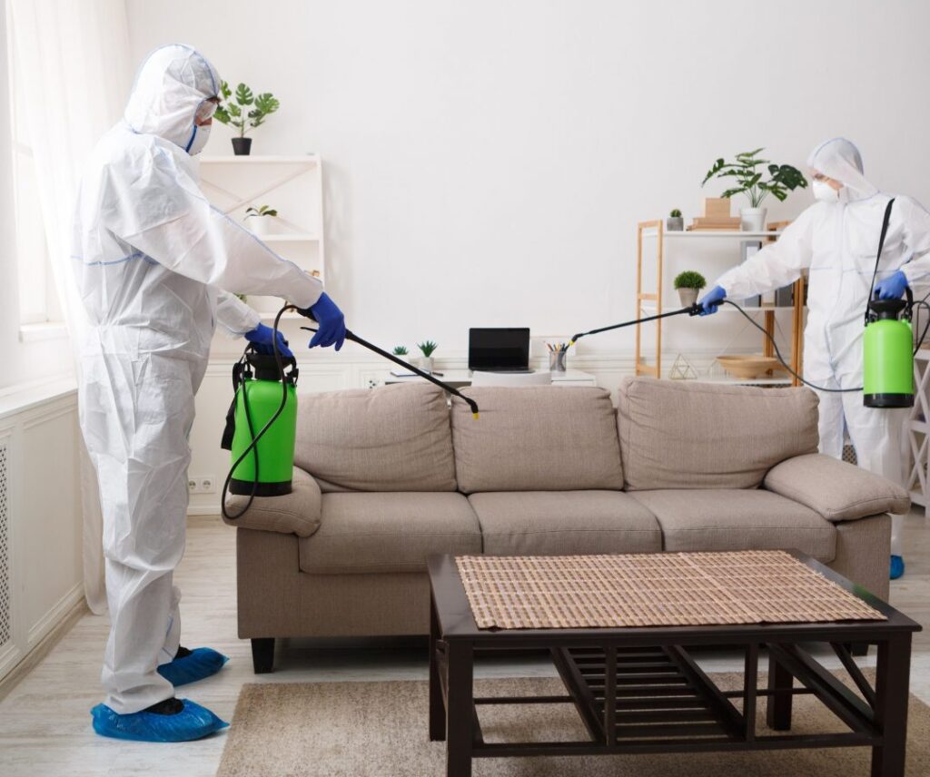 workers in protective suits disinfecting with chemicals your flat 3